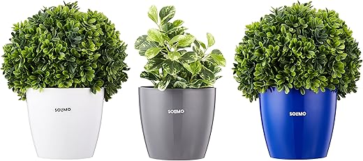 Amazon Brand - Solimo Round Planter, Set of 3 (White, Blue, Grey)