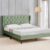 Home Centre | Helios Bravo Roxy Upholstered King Size Bed Without Storage | Engineered Wood | Green | 1 Year Warranty