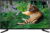 ADSUN 80cm (32 inch) HD Ready LED TV  (A-3200N)