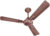 HAVELLS Ambrose ES with 2 Year Warranty Energy Saving 1200 mm Ceiling Fan  (1 Star | Nickel Pearl Brown | Pack of 1)