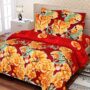 IWS 3D Luxury Printed 144 TC Polycotton Double Bedsheet with 2 Pillow Covers - Multicolour