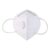 Procef N95 Mask With Filter Valve