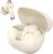 pTron Zenbuds Evo X5 34dB ANC TWS Earbuds