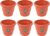 TrustBasket UV Treated Plastic Round Pot (6 Inches)-Terracotta Color -Set of 12 | Heavy Duty Highly Durable Plant Container Gamla for Indoor Home Decor & Outdoor Balcony Garden